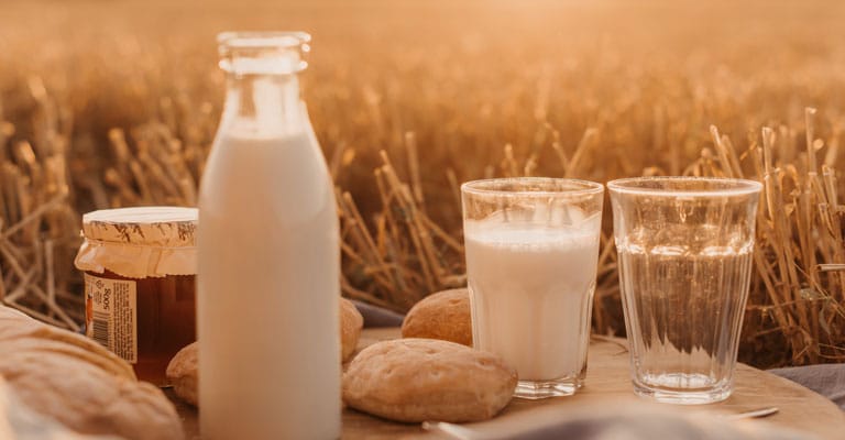 Distribution de lait, fruits et légumes dans les écoles